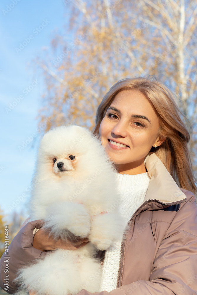 young beautiful woman holds white pomeranian dog with fluffy fur in her arms in city park young beautiful woman holds white pomeranian dog with fluffy fur in her arms in city park