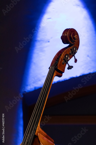 The neck, scroll and pugs seen of an acoustic double bass with a blue stage light hitting the wall behind it
