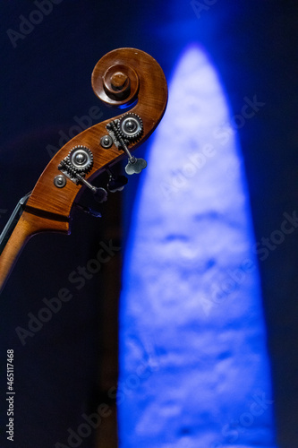 The neck, scroll and pugs seen of an acoustic double bass with a blue stage light hitting the wall behind it photo