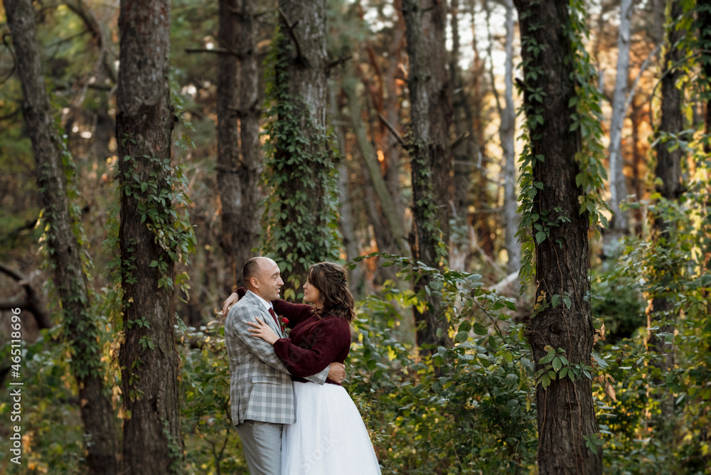 walk of the bride and groom through the autumn forest walk of the bride and groom through the autumn forest