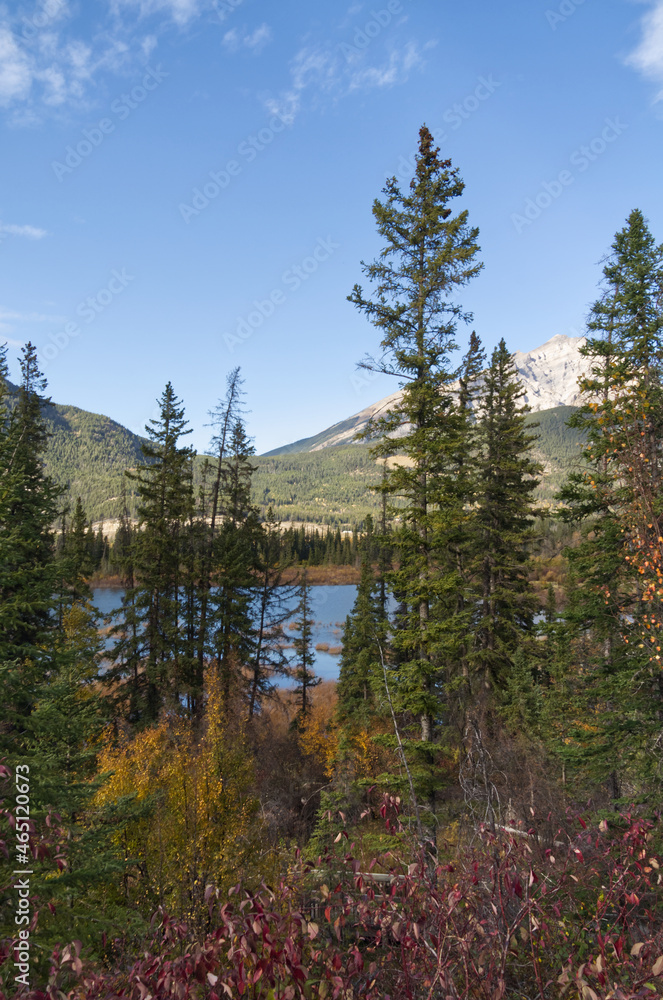 Autumn in the Mountains