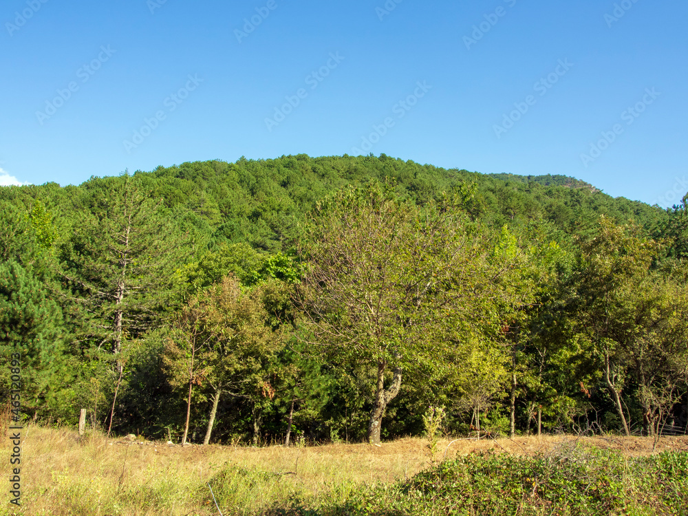 Heaven in the Mount Ida in spring, Turkey Heaven in the Mount Ida in spring, Turkey
