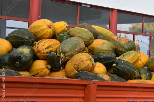 
Autums pumpkins on a truck