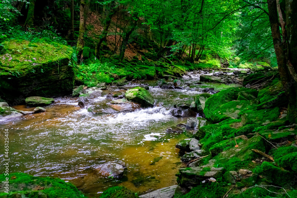 Obraz premium Hiking through the Valley of the Snakes near Fattendorf in the Bavarian Forrest.