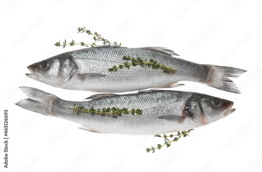Fresh uncooked sea bass fish on white background Fresh uncooked sea bass fish on white background