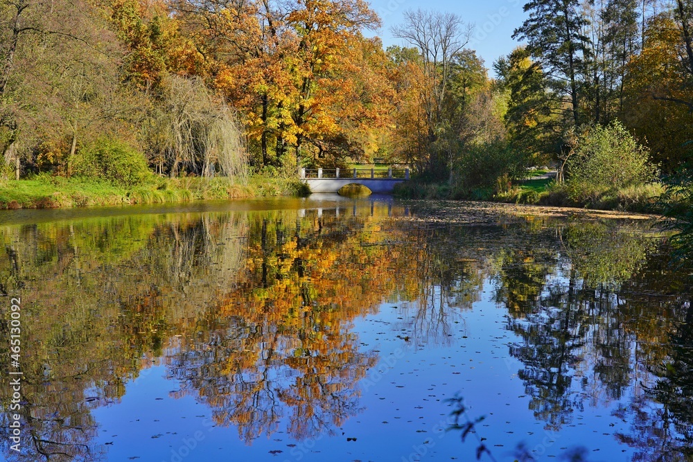 Amazing autumn landscape - small pond in the autumn park - A beautiful autumn day - colorful autumn Amazing autumn landscape - small pond in the autumn park - A beautiful autumn day - colorful autumn