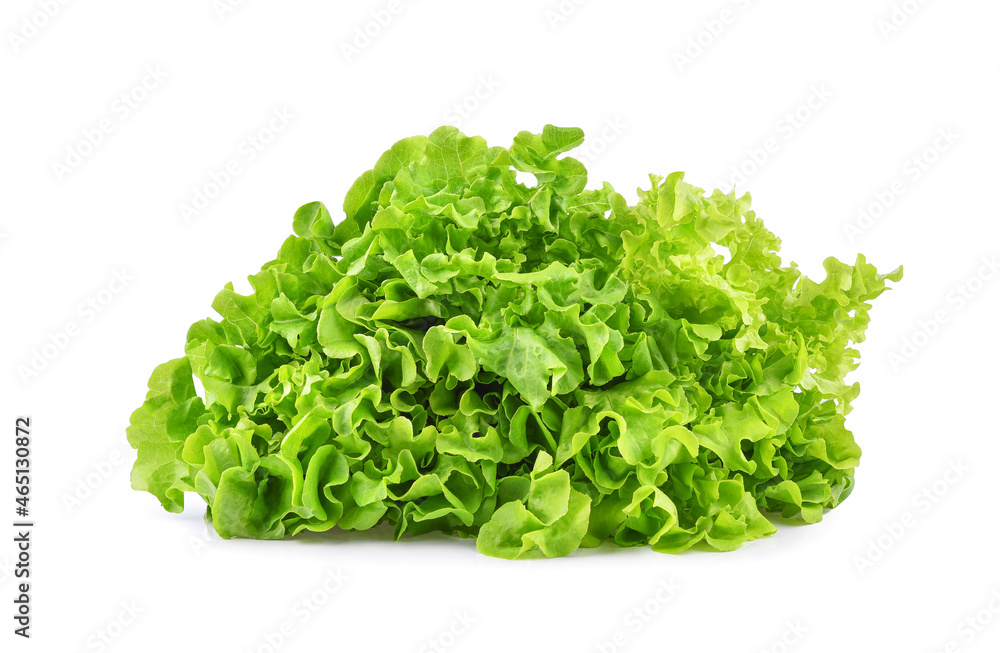 Green salad lettuce isolated on white background Green salad lettuce isolated on white background