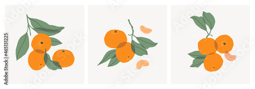 Set of decorative still lifes with tangerines. Hand drawing mandarin slices, twigs and leaves. Ideal for print, posters, postcards, design creation. Vector trendy triptych. photo