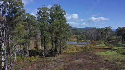 Tasmania wetlands and endemic nature. Travel to Australia photo