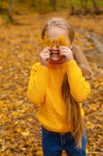 a beautiful happy little blonde girl in a yellow sweater holds yellow autumn leaves in front of her eyes in the city autumn park