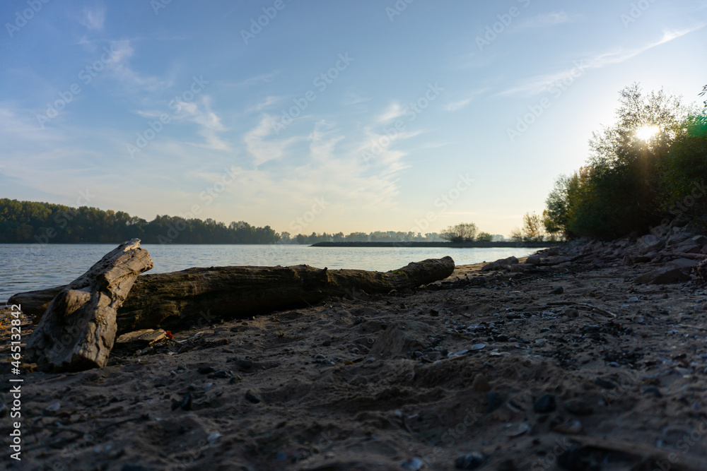 Tree trunk on a rocky beach of the Rhine River