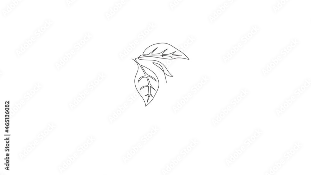 Animated self drawing of continuous line draw beauty fresh brugmansia for wall decor home art poster print. Decorative angel trumpet flower for greeting card frame. Full length one line animation. Animated self drawing of continuous line draw beauty fresh brugmansia for wall decor home art poster print. Decorative angel trumpet flower for greeting card frame. Full length one line animation.