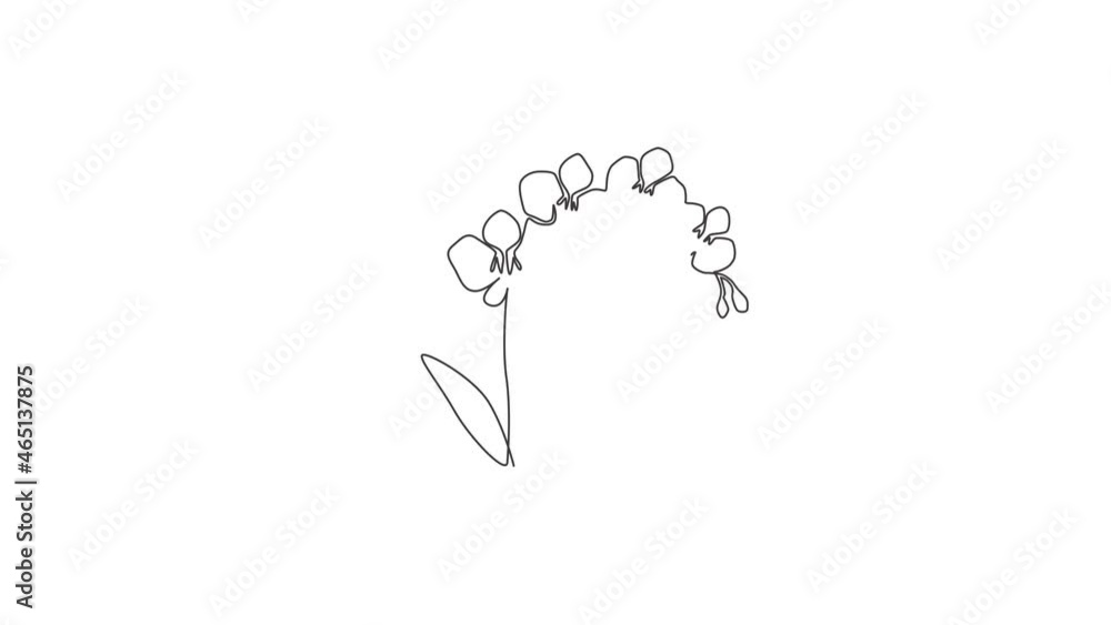 Animation of one line drawing of beauty fresh gladiolus for home wall decor art. Printable decorative sword gladius flower concept for fashion. Continuous line self draw animated. Full length motion. Animation of one line drawing of beauty fresh gladiolus for home wall decor art. Printable decorative sword gladius flower concept for fashion. Continuous line self draw animated. Full length motion.