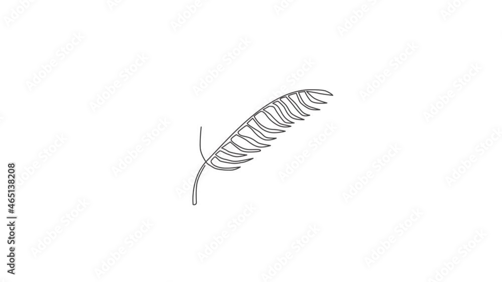 Animation of one line drawing tropical leaf fern plant. Printable poster decorative houseplant concept for home wall decor wallpaper ornament. Continuous line self draw animated. Full length motion. Animation of one line drawing tropical leaf fern plant. Printable poster decorative houseplant concept for home wall decor wallpaper ornament. Continuous line self draw animated. Full length motion.