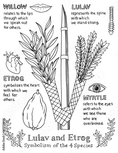 Four species of Sukkot coloring page of lulav and etrog with symbols photo