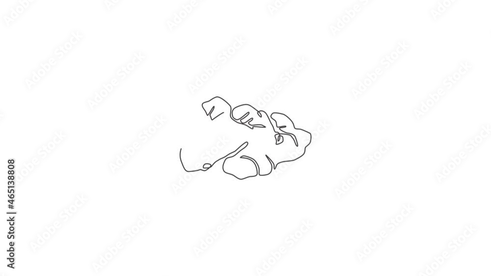 Animation of one line drawing healthy organic ginger for farm logo identity. Fresh flowering plant rhizome concept herbaceous perennial icon. Continuous line self draw animated. Full length motion. Animation of one line drawing healthy organic ginger for farm logo identity. Fresh flowering plant rhizome concept herbaceous perennial icon. Continuous line self draw animated. Full length motion.
