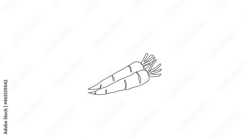 Animated self drawing of one continuous line draw whole healthy organic carrots group for farm logo identity. Fresh biennial plant concept for root vegetable icon. Full length single line animation. Animated self drawing of one continuous line draw whole healthy organic carrots group for farm logo identity. Fresh biennial plant concept for root vegetable icon. Full length single line animation.