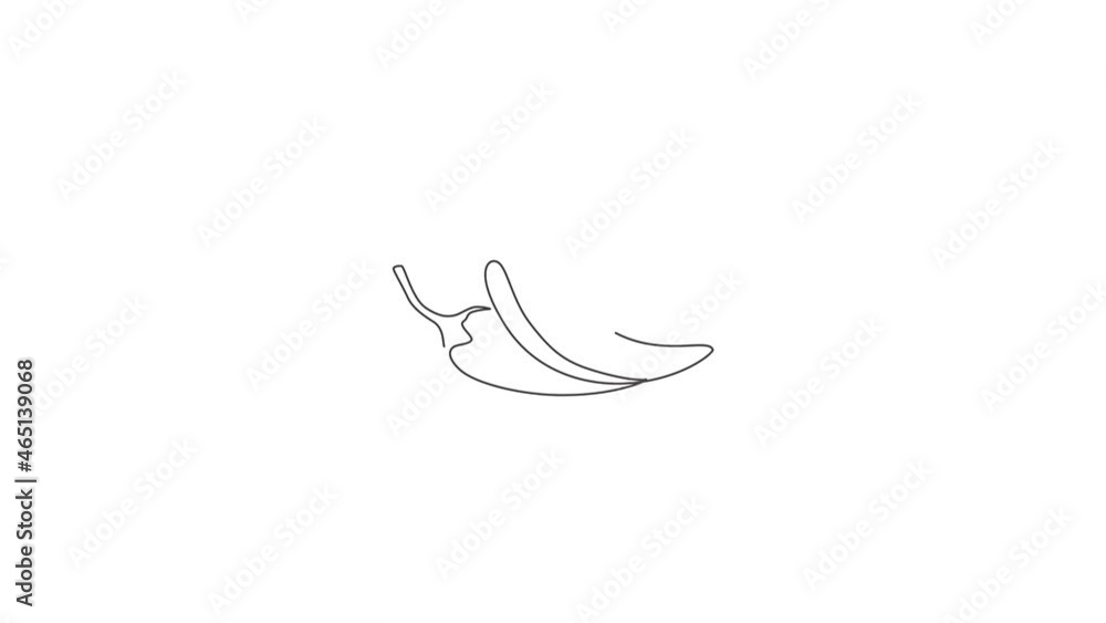 Animation of one single line drawing of whole healthy organic hot chili for farm logo identity. Fresh chile pepper concept for vegetable icon. Continuous line self draw animated. Full length motion. Animation of one single line drawing of whole healthy organic hot chili for farm logo identity. Fresh chile pepper concept for vegetable icon. Continuous line self draw animated. Full length motion.