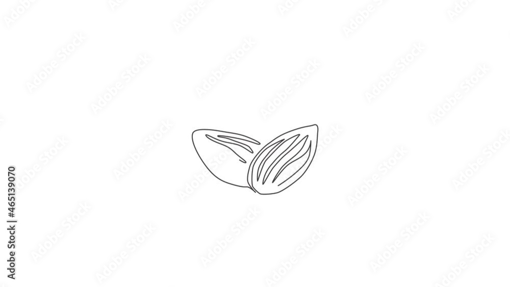 Animated self drawing of one continuous line draw whole healthy organic ...