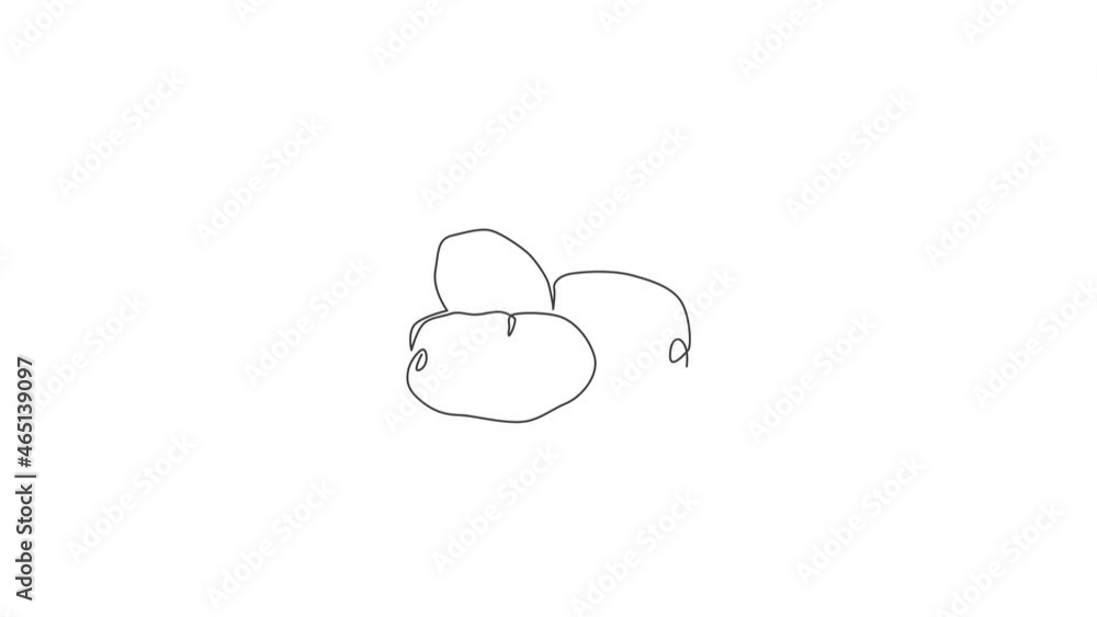 Animation of one line drawing of whole healthy organic potatoes for farm logo identity. Fresh root vegetable concept for edible plant icon. Continuous line self draw animated. Full length motion. Animation of one line drawing of whole healthy organic potatoes for farm logo identity. Fresh root vegetable concept for edible plant icon. Continuous line self draw animated. Full length motion.