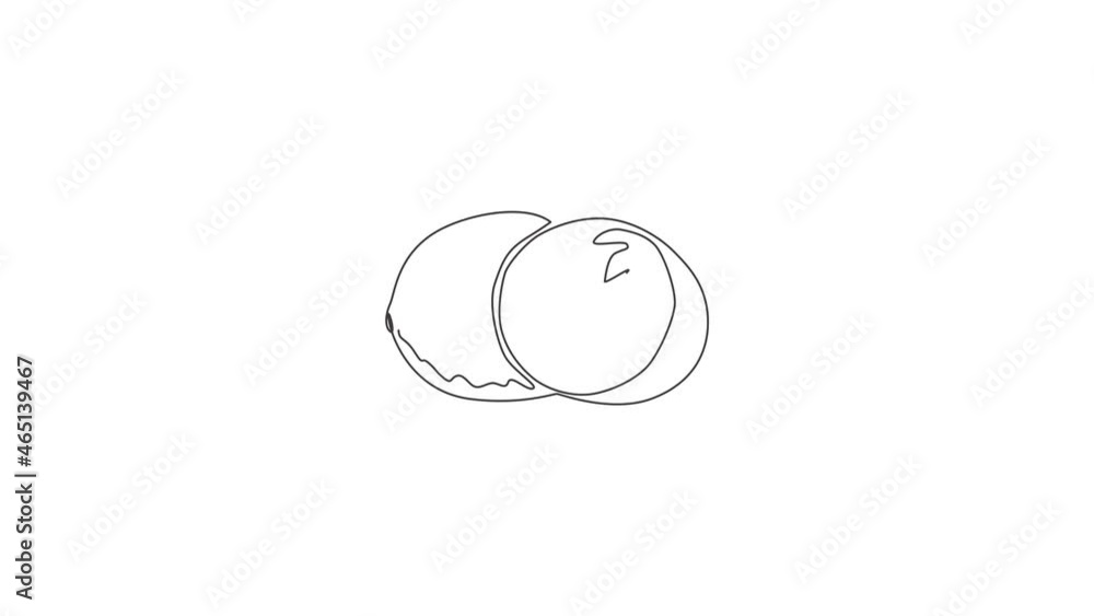Animated self drawing of single continuous line draw whole and half sliced healthy organic kiwi for orchard logo identity. Fresh tropical fruit concept for garden icon. Full length one line animation. Animated self drawing of single continuous line draw whole and half sliced healthy organic kiwi for orchard logo identity. Fresh tropical fruit concept for garden icon. Full length one line animation.