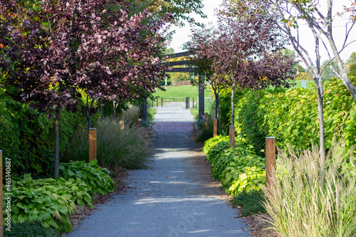 path in the park