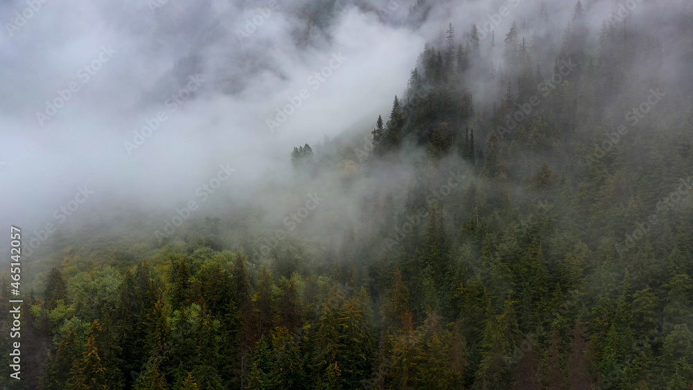 Aerial video of mist in the forest Aerial video of mist in the forest
