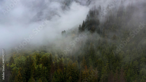 Aerial video of mist in the forest