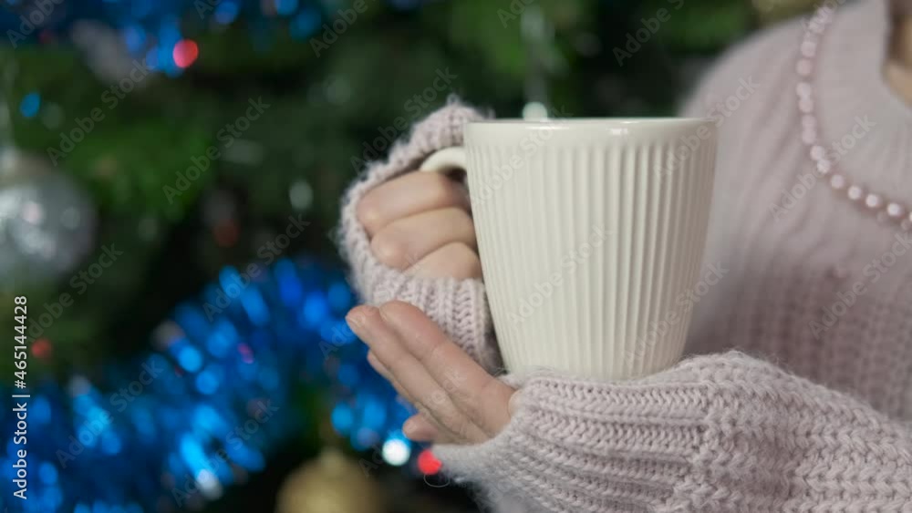 Hot cocoa on Christmas. A view of a woman with hot cocoa mug in her hands in the Christmas decorated room. Hot cocoa on Christmas. A view of a woman with hot cocoa mug in her hands in the Christmas decorated room.