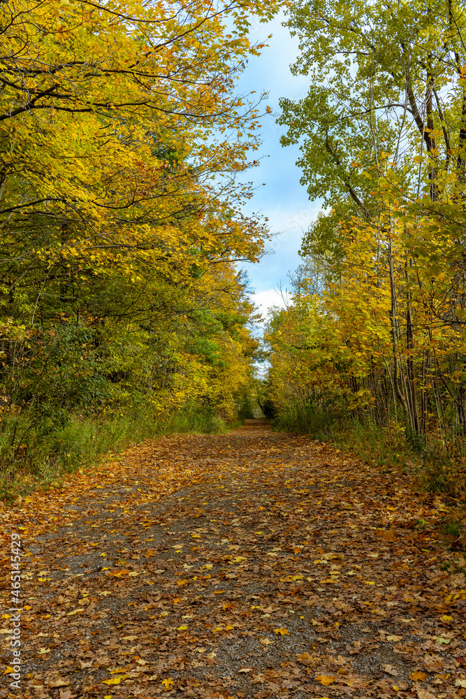 Mount Nemo Conservation Area during the autumn - Burlington, Ontario, Canada Mount Nemo Conservation Area during the autumn - Burlington, Ontario, Canada