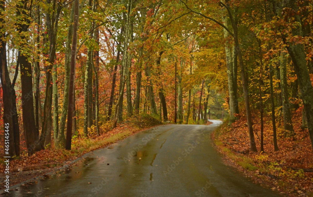 Winding autumn road on a rainy day