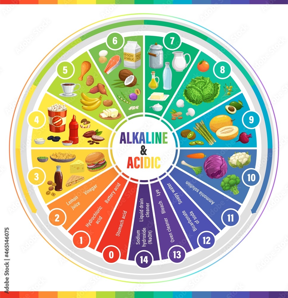 Round PH Scale Indicators Chart Acids Balance Measure Meter Vector round-ph-scale-indicators-chart-acids-balance-measure-meter-vector