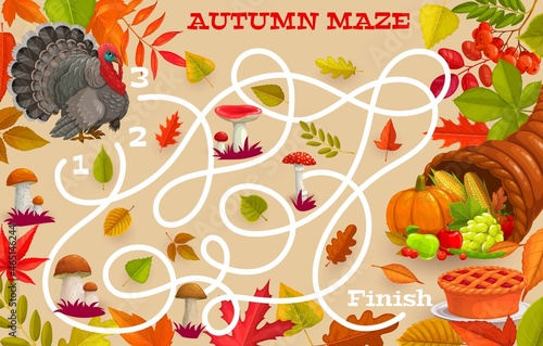 Thanksgiving labyrinth maze game with vector cornucopia, turkey, autumn leaves, pie and mushrooms. Start to finish kids puzzle game or find right way riddle with map, educational worksheet template
