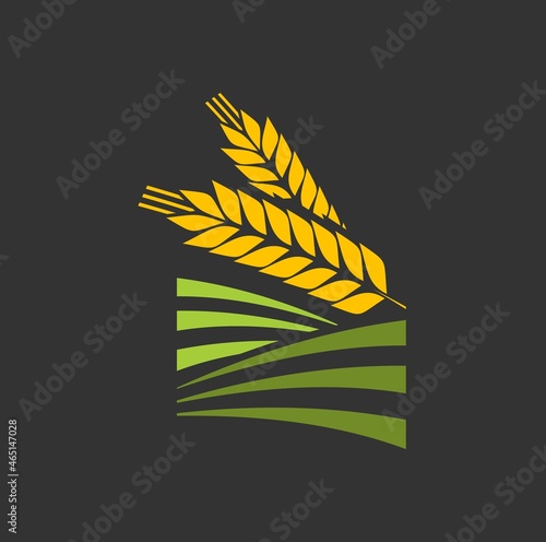 Cereal ear and spike of wheat, barley or rice, millet stalk vector icon. Bread bakery spikelet for grain food and agriculture, wheat ear or barley spike on green farm field, organic crop harvest