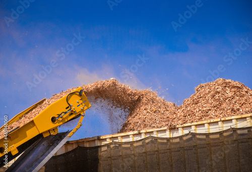 Konstfotografi Biomass Forestry Wood Chip Energy
