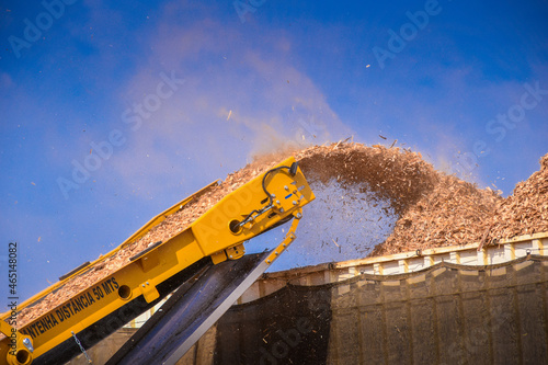 Foto Biomass Forestry Wood Chip Energy
