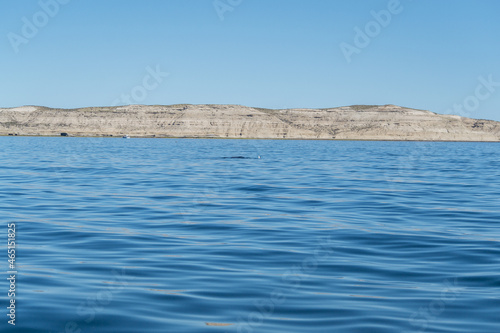 Avistaje de ballenas