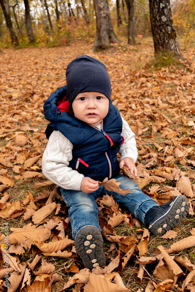 Smiling toddler in a blue vest plays in the autumn forest. Child fantasy concept. Smiling toddler in a blue vest plays in the autumn forest. Child fantasy concept.