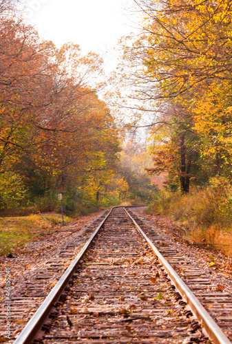 Railway Line through the Ozarks in Fall