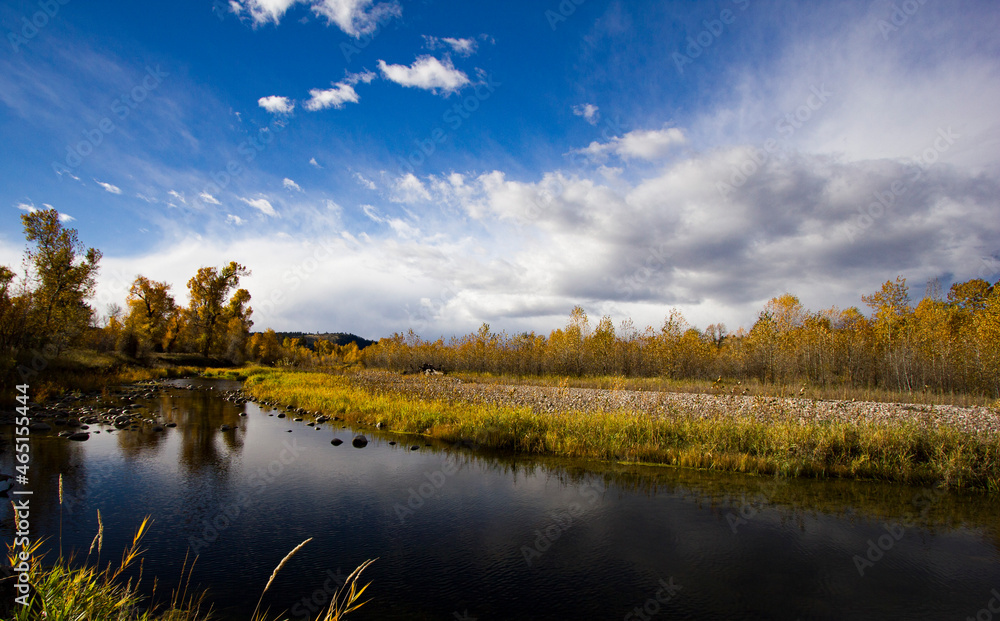 Fototapeta premium Stillwater River Aspens in Fall