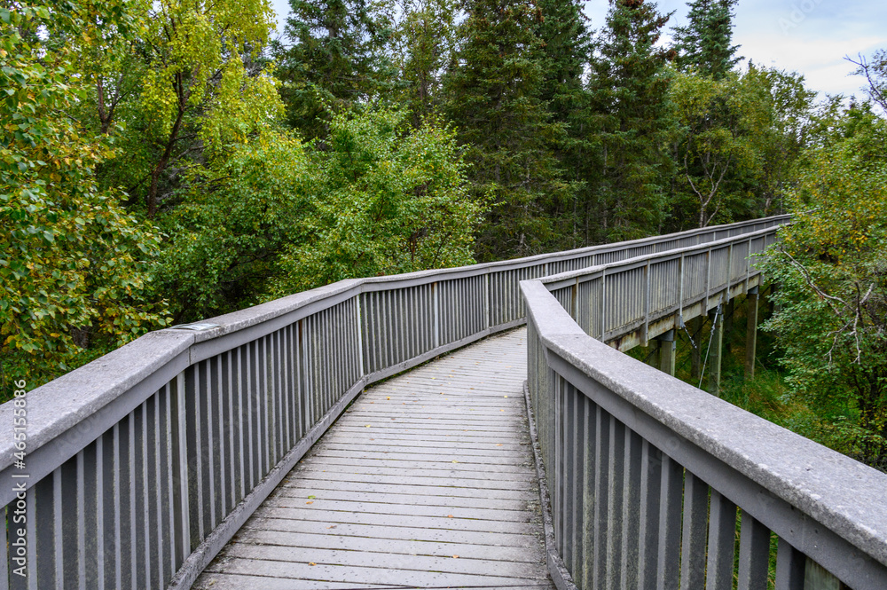 Boardwalk with railing through a forest on a cloudy day, Katmai National Park, Alaska

