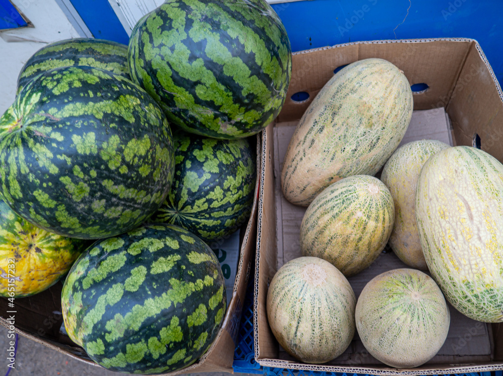 melons and watermelons in cardboard boxes on the market