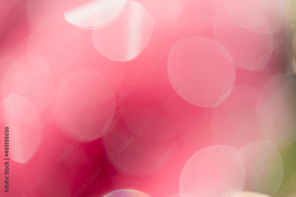 Pink blurred background and sunlight
Pink blurred background and sunlight