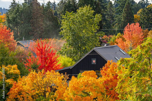 The Love of Autumn