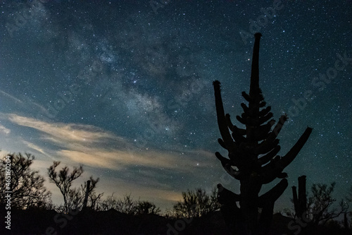 Schilderij op canvas Abnormal saguaro and the milky way