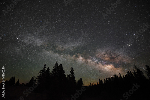 Milky way rising over the forest