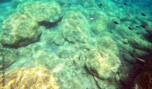 Underwater world of Mediterranean Sea. Near Marmaris, Turkey