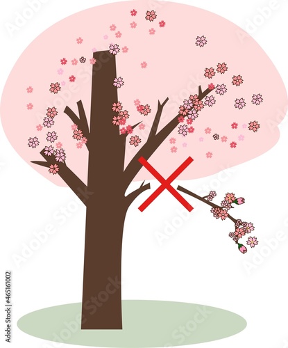 桜の枝を折るのは禁止です。