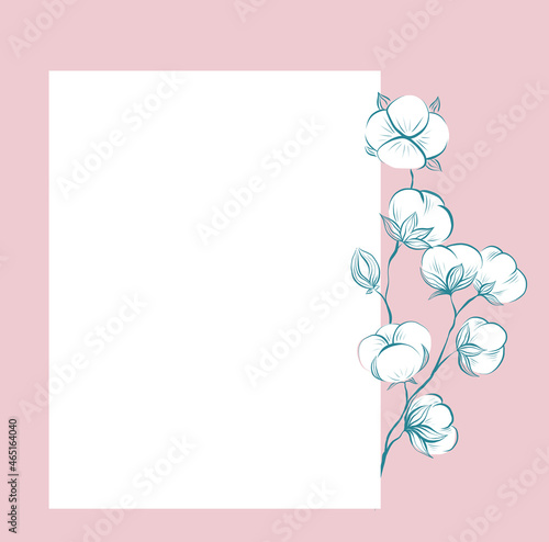 Square delicate card with sketches of cotton plant and stems  copy space on pink background. Vector gentle outline herbal template with stems  fluffy balls and place for text. Contour natural postcard