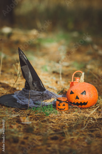 Obraz na płótnie Halloween layout. Halloween concept. Halloween decorations on forest background. Witch hat, pumpkin w salonie